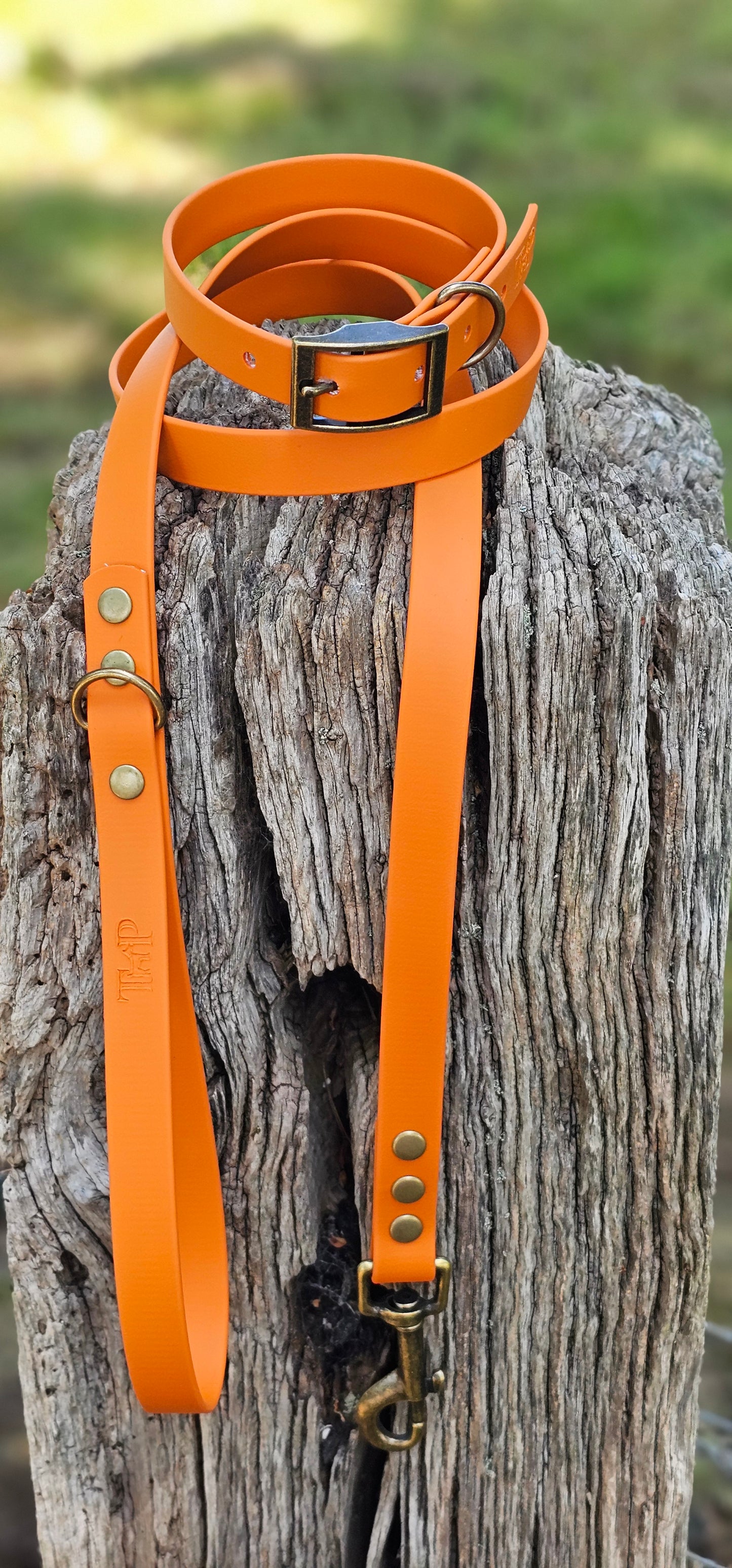 Burnt Orange Waterproof BioThane© Dog Collar