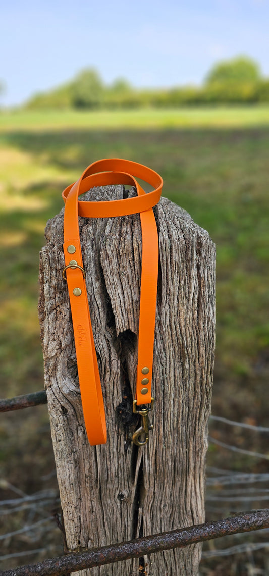 Burnt Orange Waterproof BioThane© Dog Lead