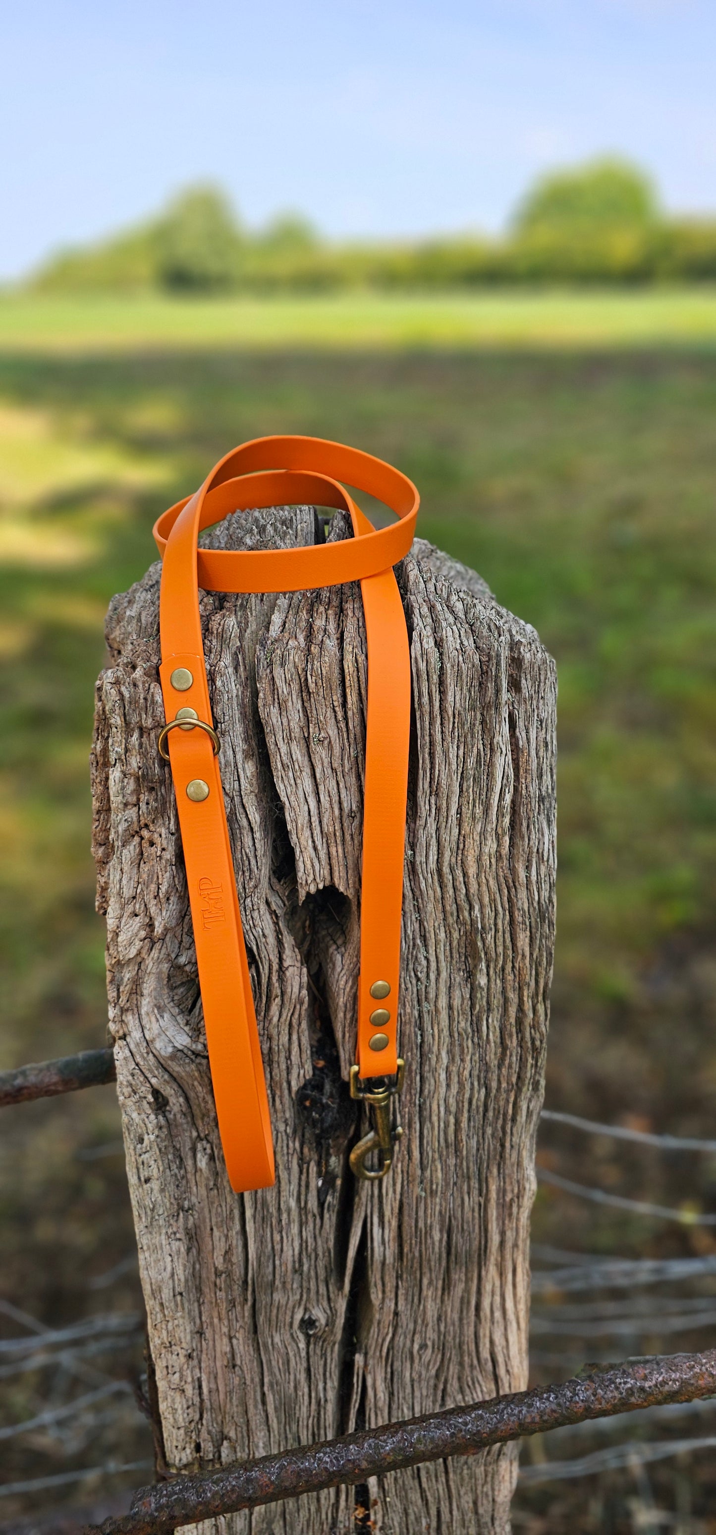 BURNT ORANGE - Waterproof BioThane© Dog Collar / Dog Lead