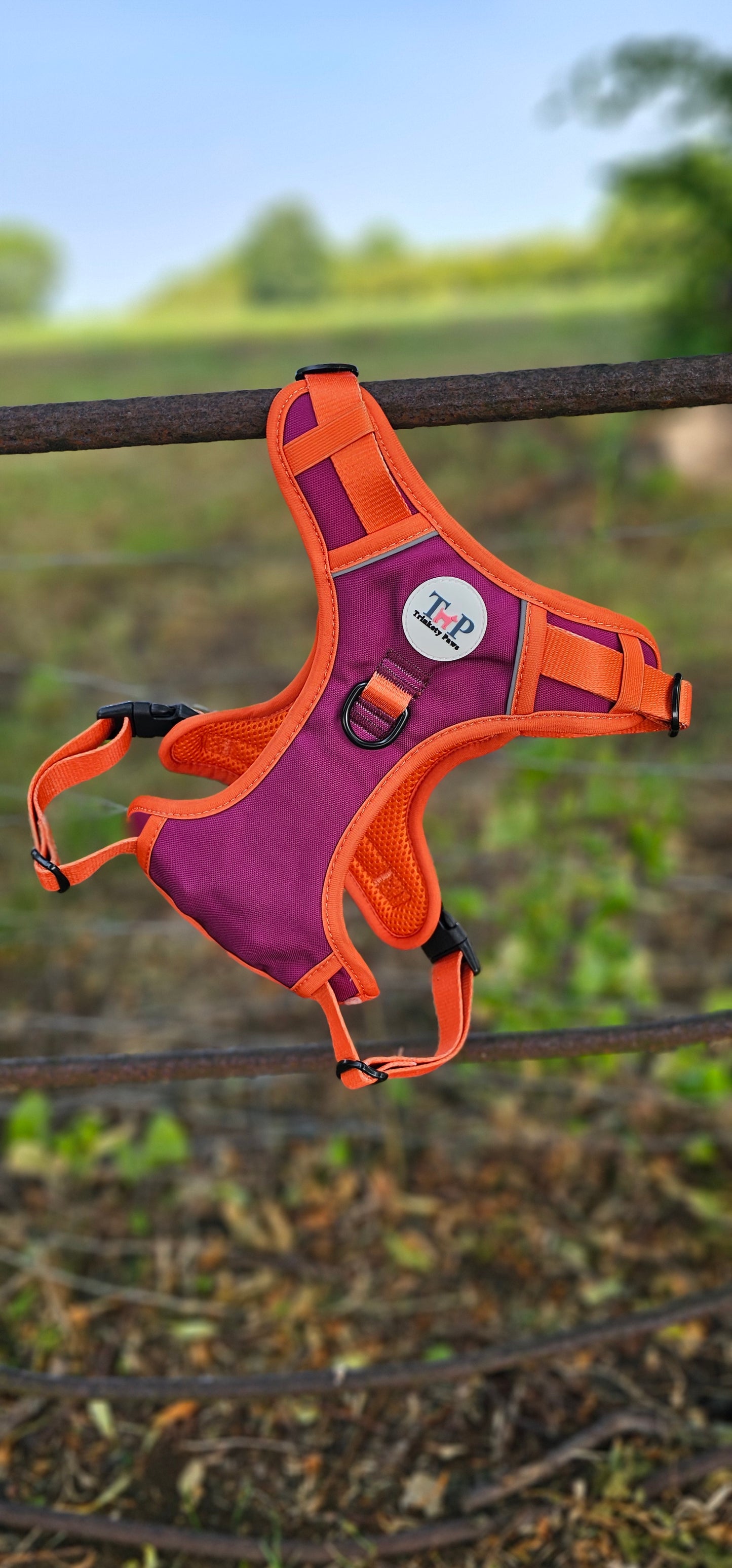 Phoenix - EasyFit™ Dog Harness
