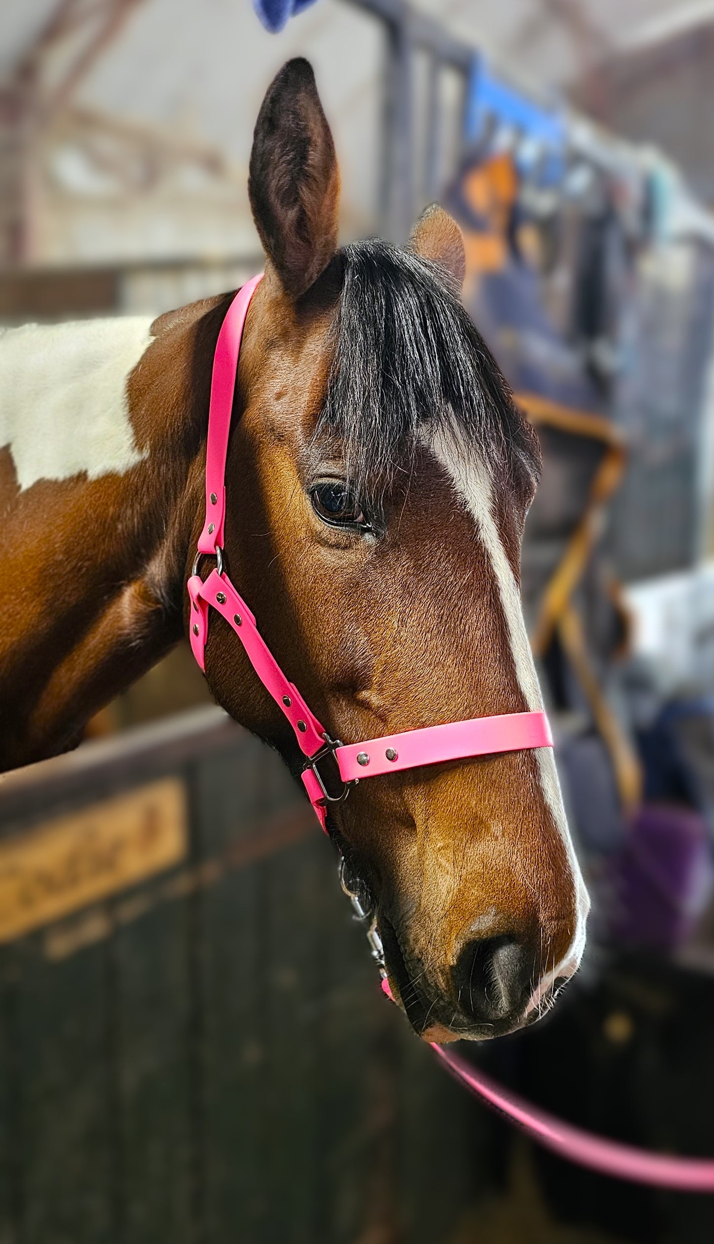 Neon Pink - Waterproof BioThane® Horse Halters / Head Collars