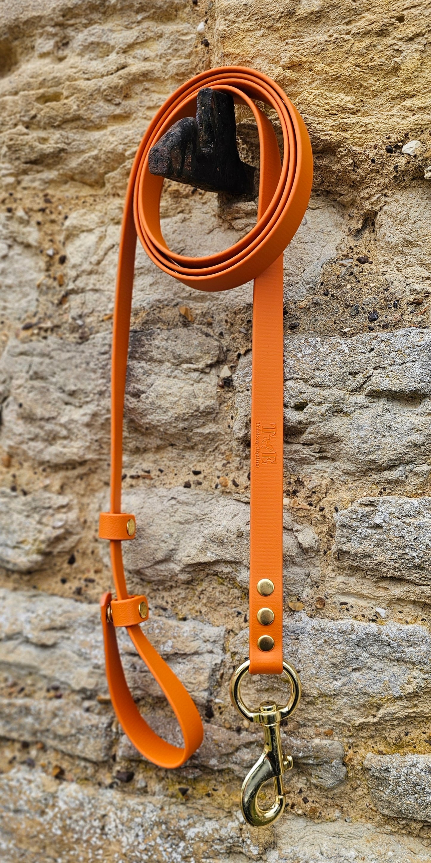 Burnt Orange - Waterproof BioThane® Horse break-away Lead Lines