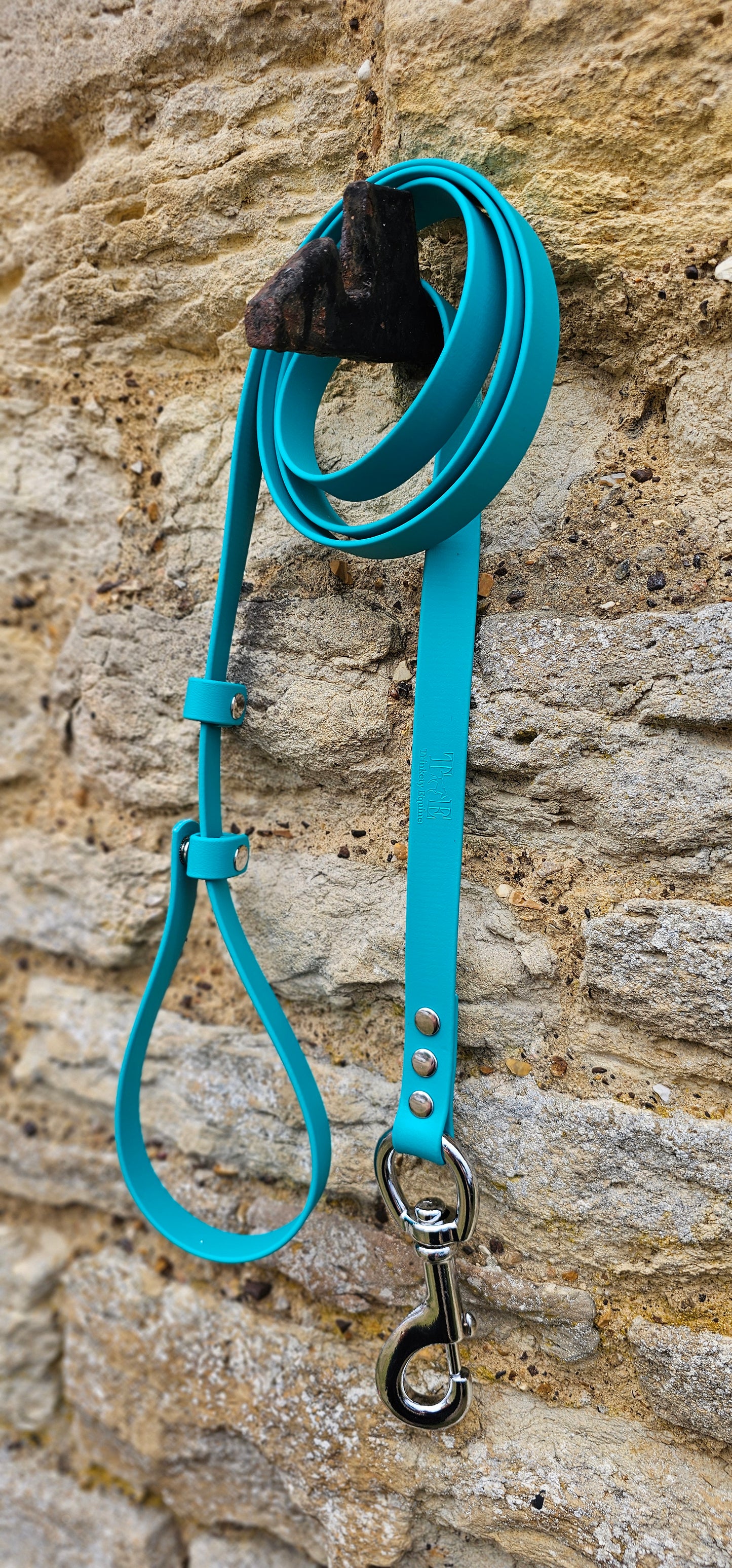 Teal - Waterproof BioThane® Horse break-away Lead Lines