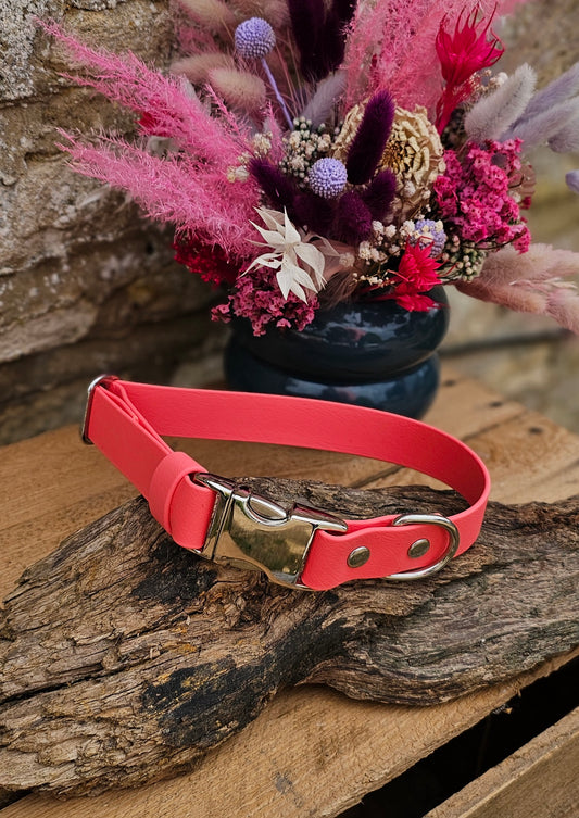Coral Waterproof BioThane® Quick Release Dog Collar