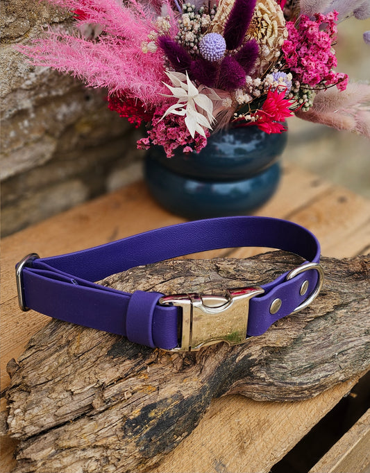 Purple Waterproof BioThane® Quick Release Dog Collar