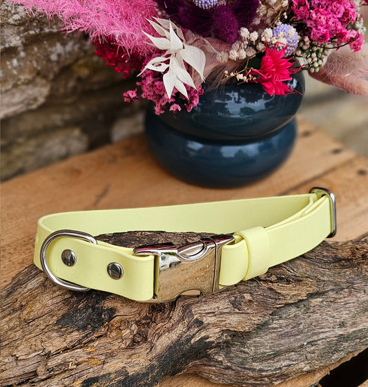 Lemon Waterproof BioThane® Quick Release Dog Collar