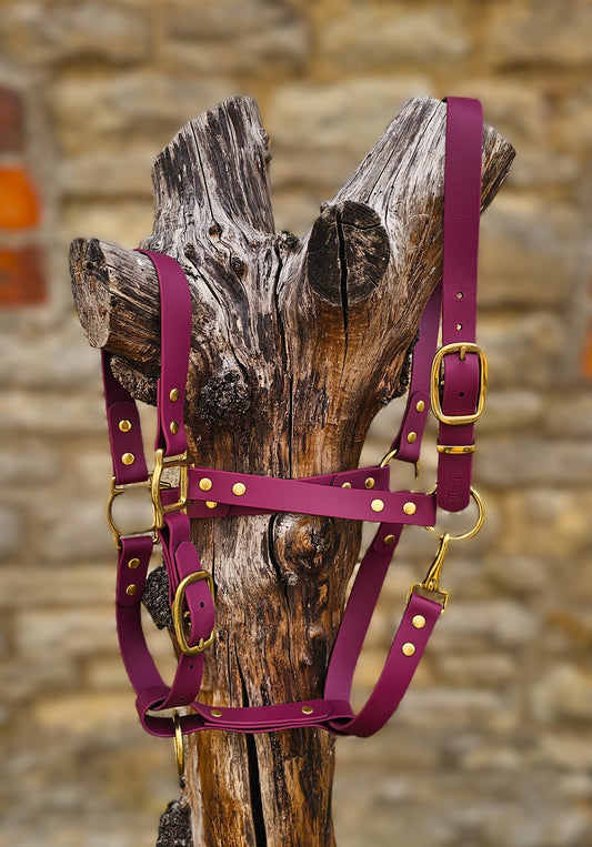 Burgundy - Waterproof BioThane® Horse Halters / Head Collars