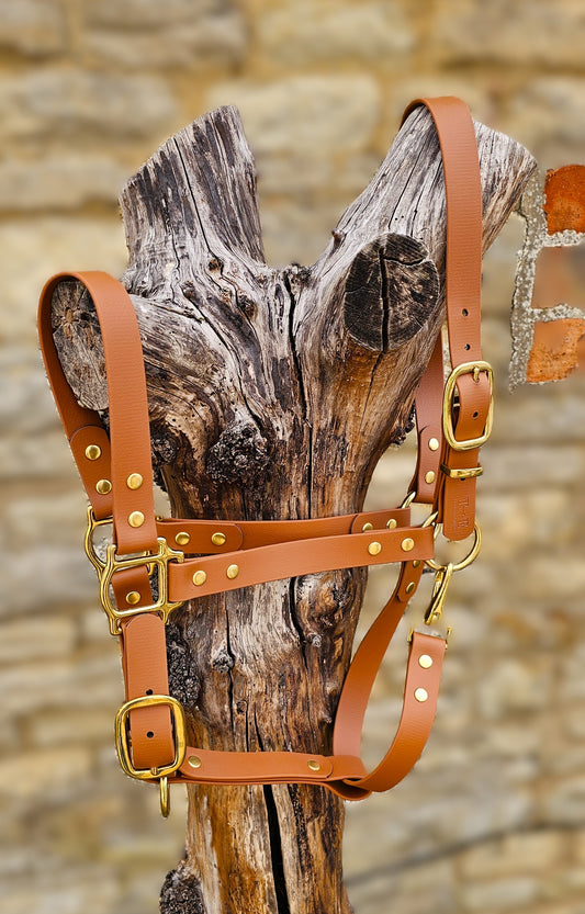 Tan - Waterproof BioThane® Horse Halters / Head Collars