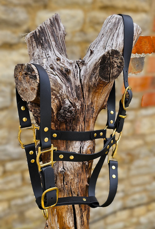 Black - Waterproof BioThane® Horse Halters / Head Collars