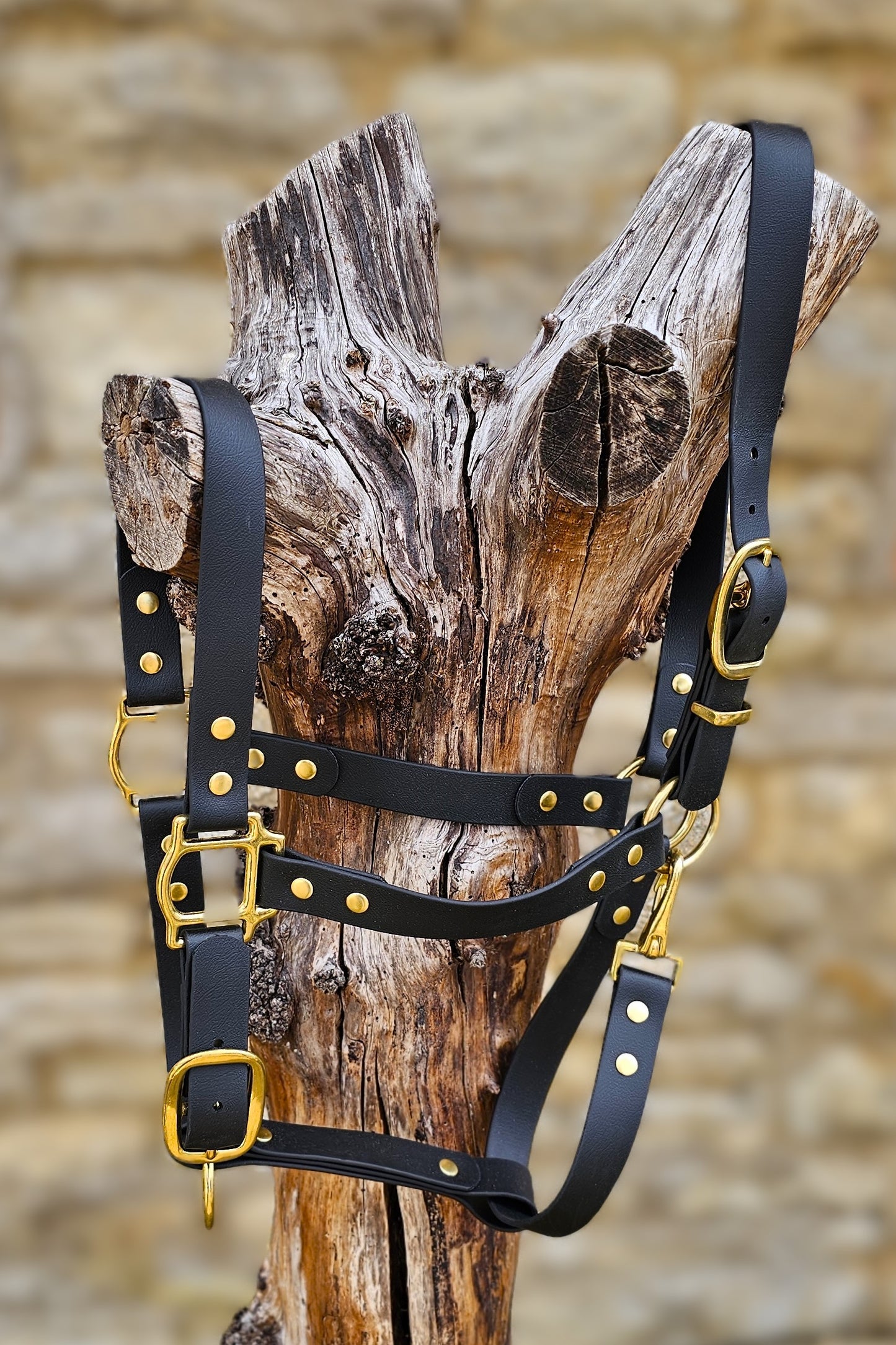 Black - Waterproof BioThane® Horse Halters / Head Collars