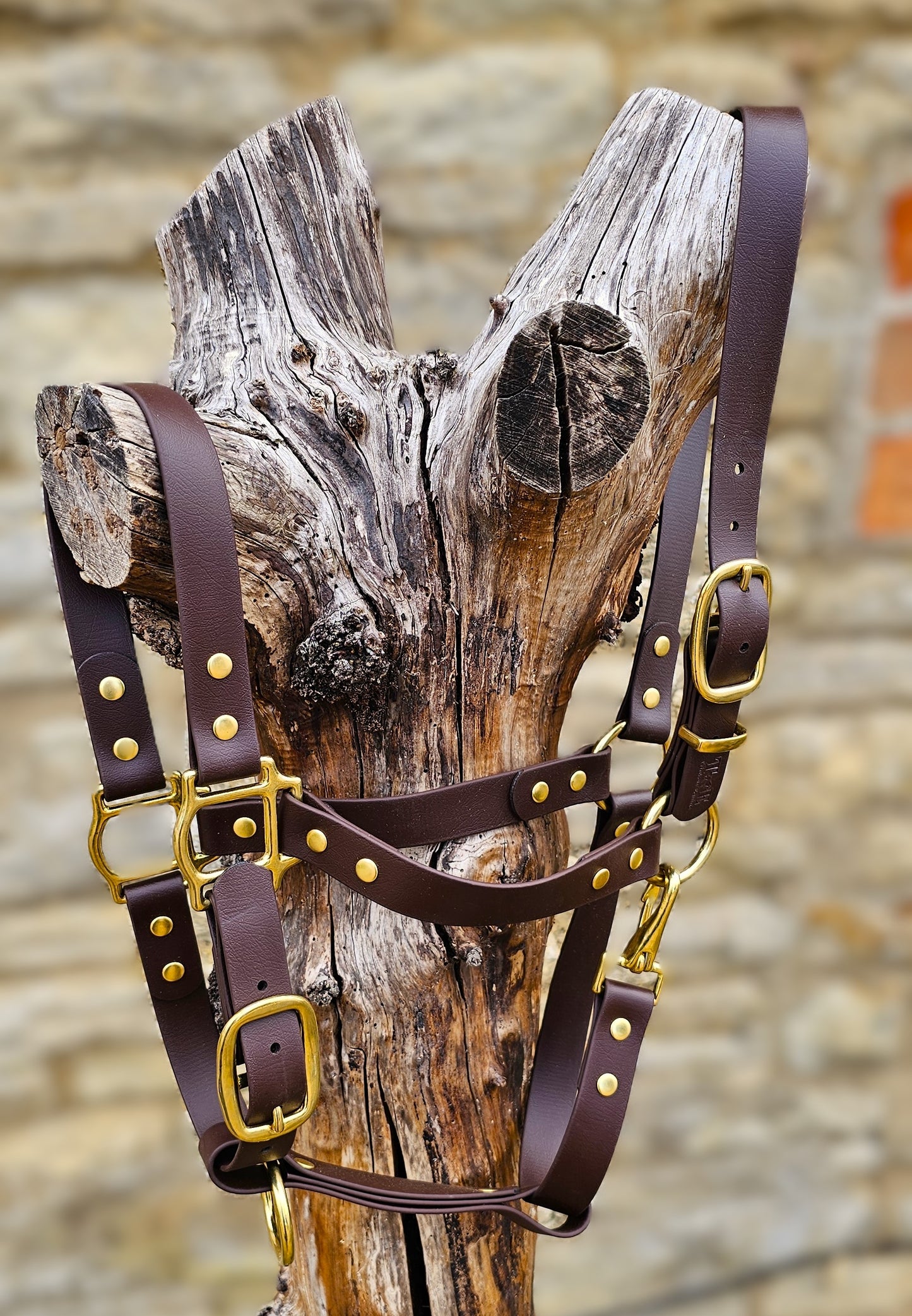 Dark Brown - Waterproof BioThane® Horse Halters / Head Collars