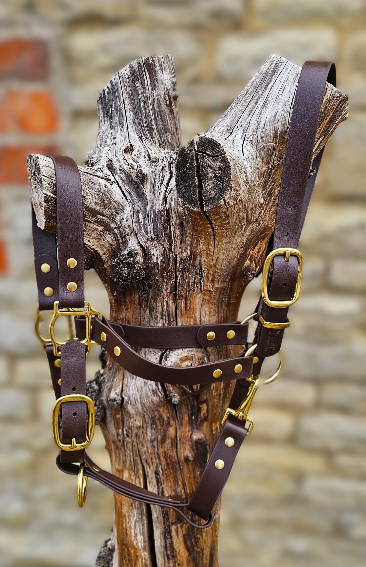 Dark Brown - Waterproof BioThane® Horse Halters / Head Collars