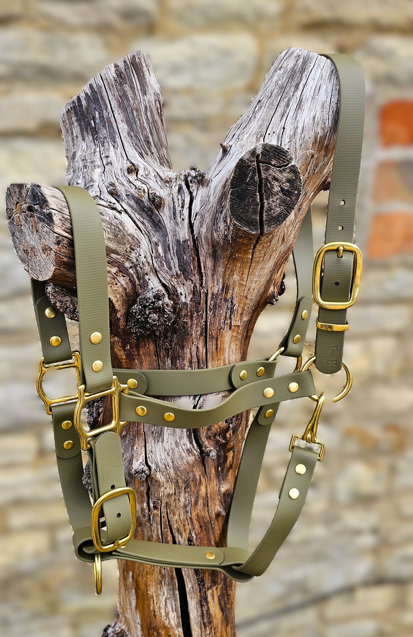 Olive - Waterproof BioThane® Horse Halters / Head Collars