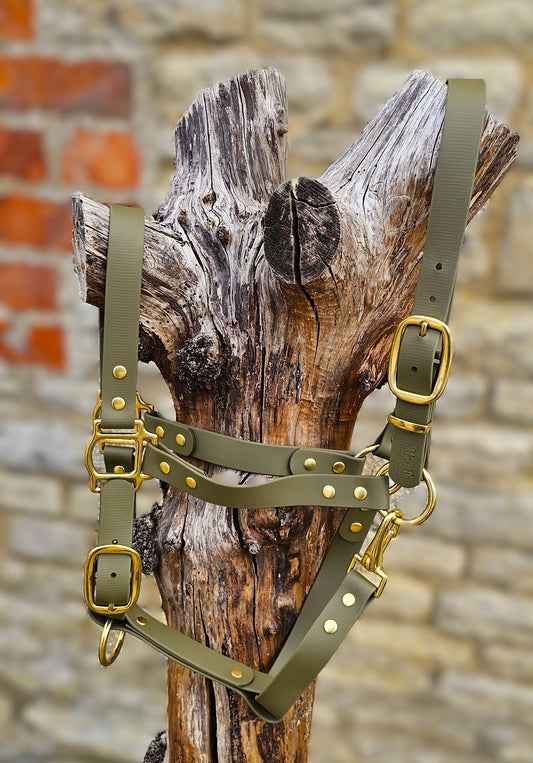 Olive - Waterproof BioThane® Horse Halters / Head Collars