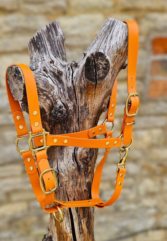 Burnt Orange - Waterproof BioThane® Horse Halters / Head Collars