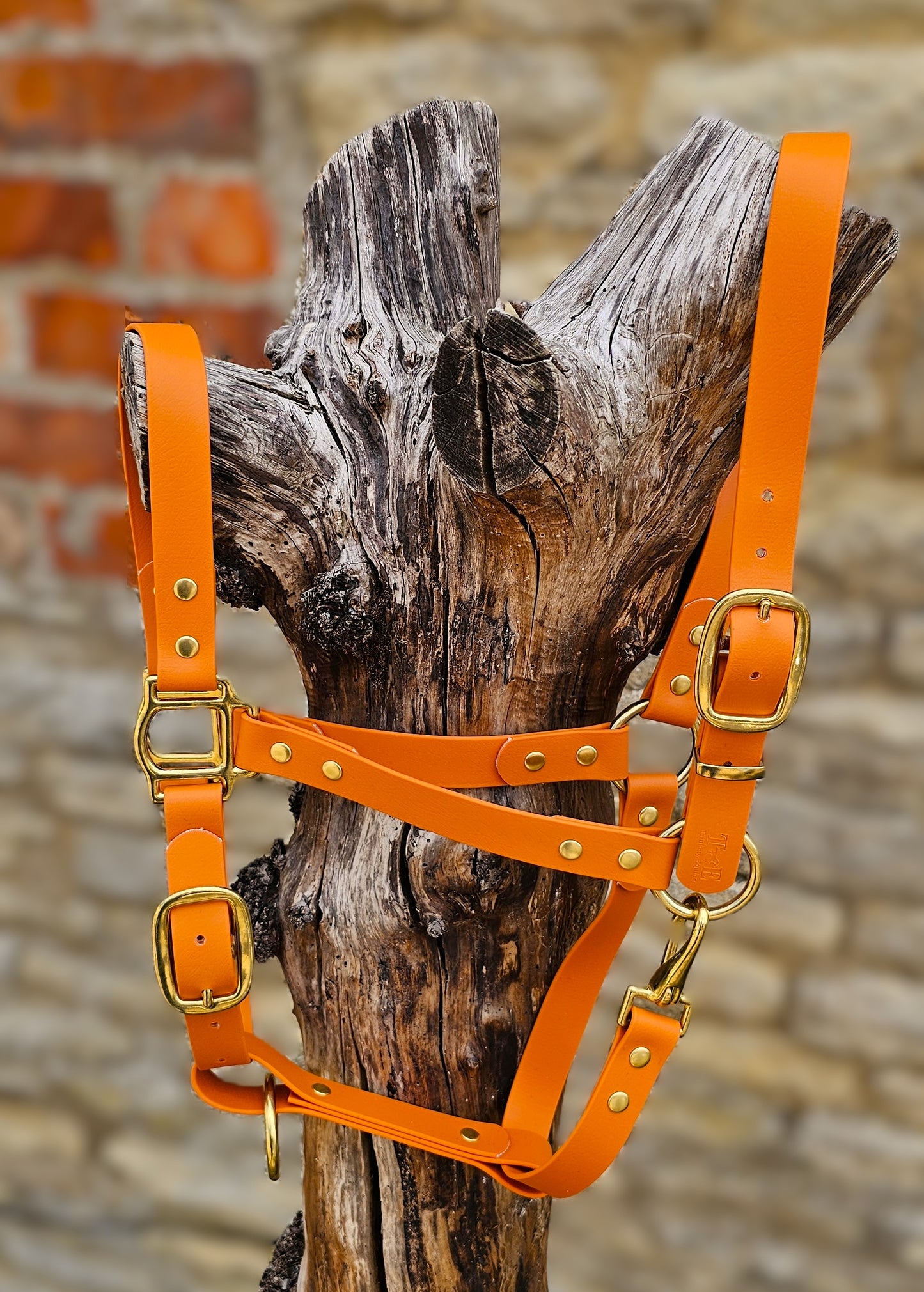 Burnt Orange - Waterproof BioThane® Horse Halters / Head Collars