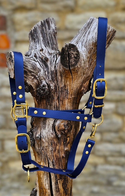 Navy - Waterproof BioThane® Horse Halters / Head Collars