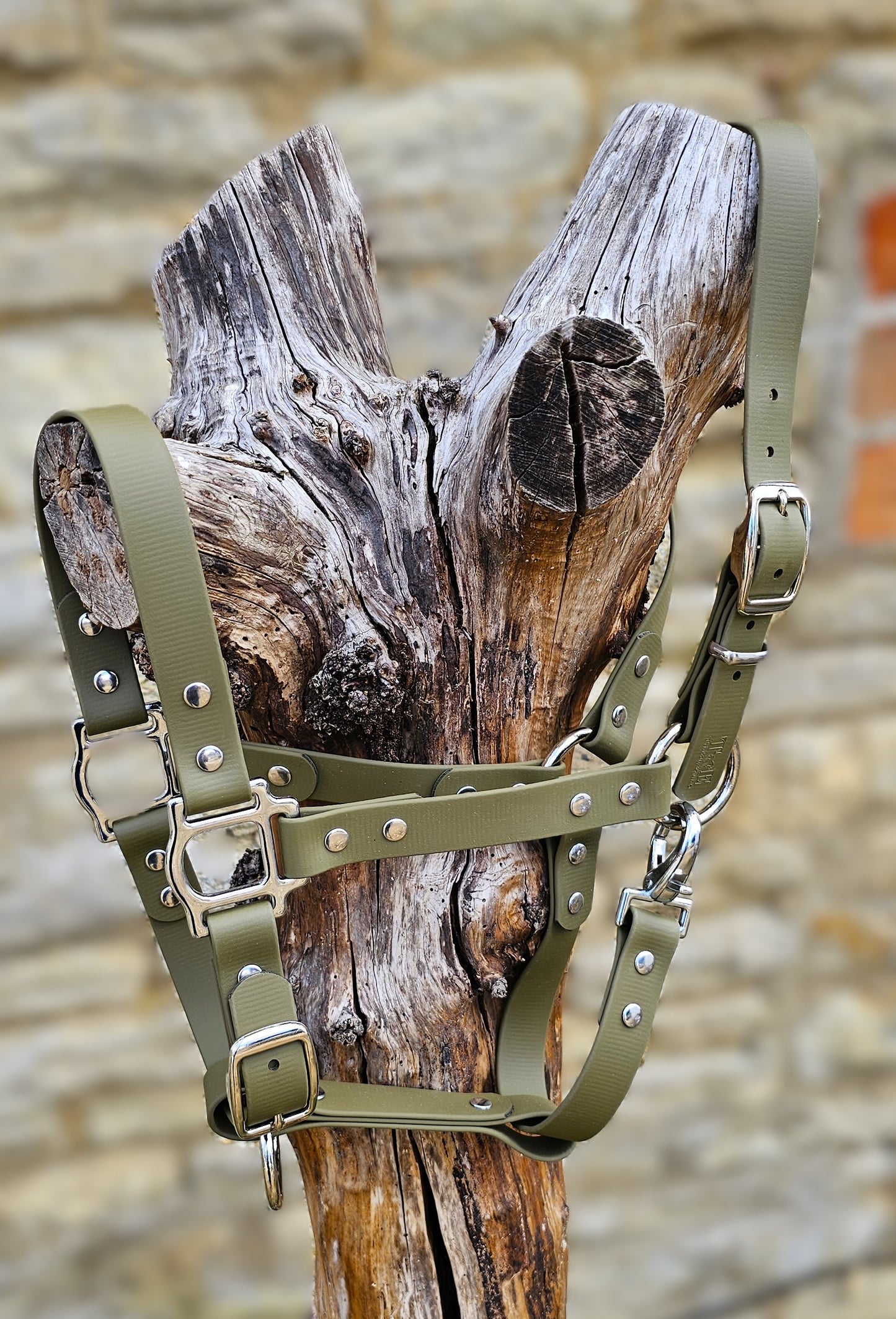 Olive - Waterproof BioThane® Horse Halters / Head Collars