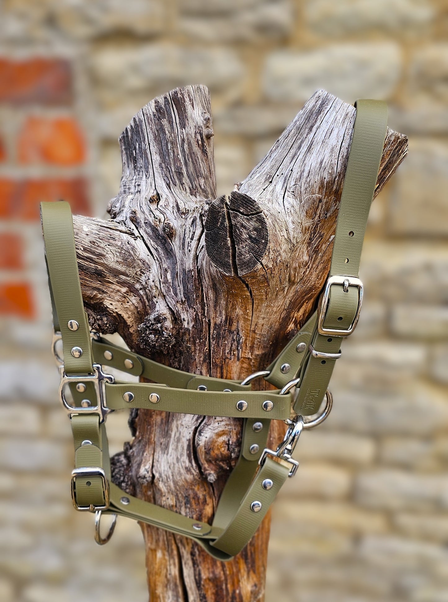 Olive - Waterproof BioThane® Horse Halters / Head Collars