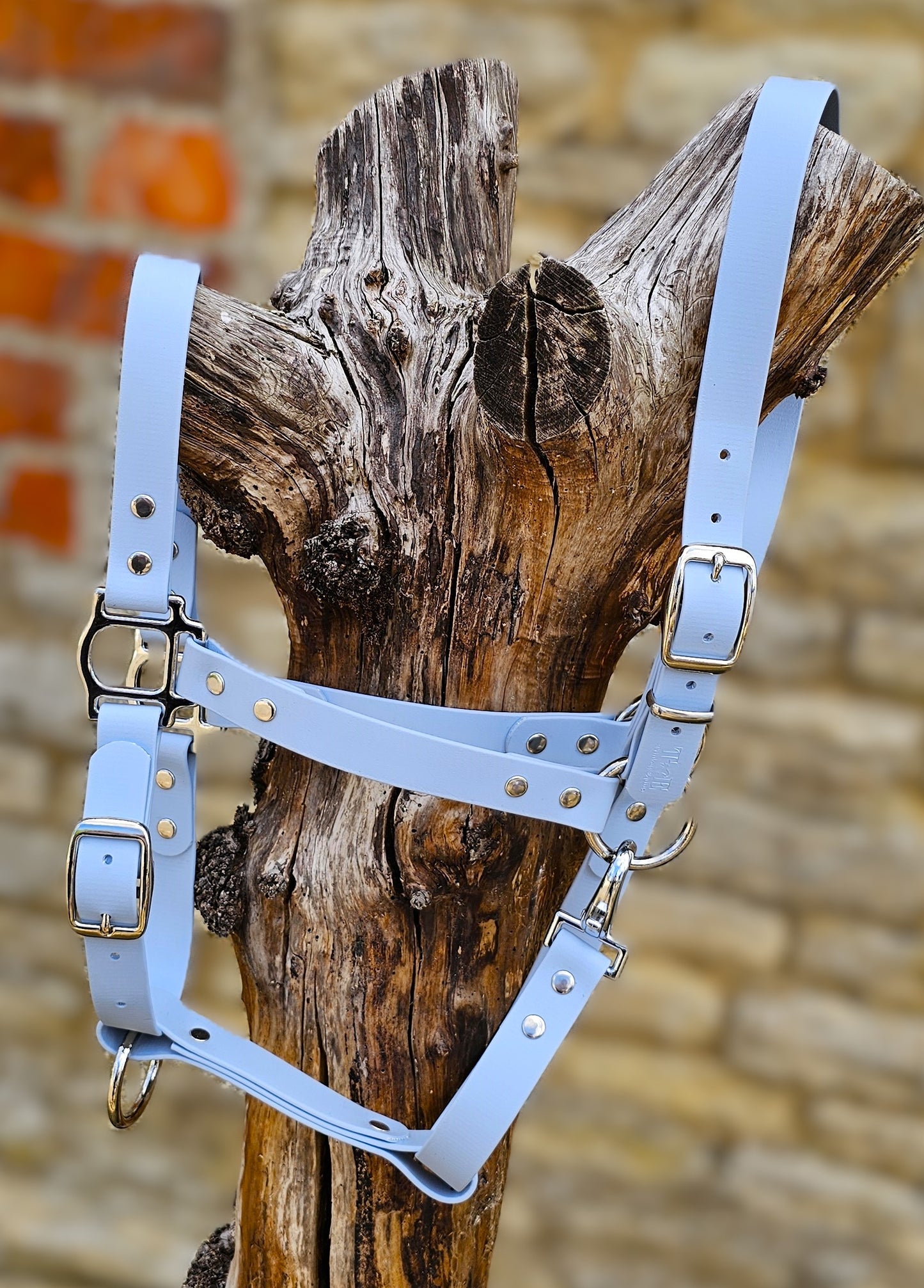 Baby Blue - Waterproof BioThane® Horse Halters / Head Collars