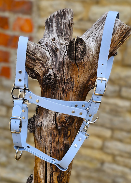 Baby Blue - Waterproof BioThane® Horse Halters / Head Collars
