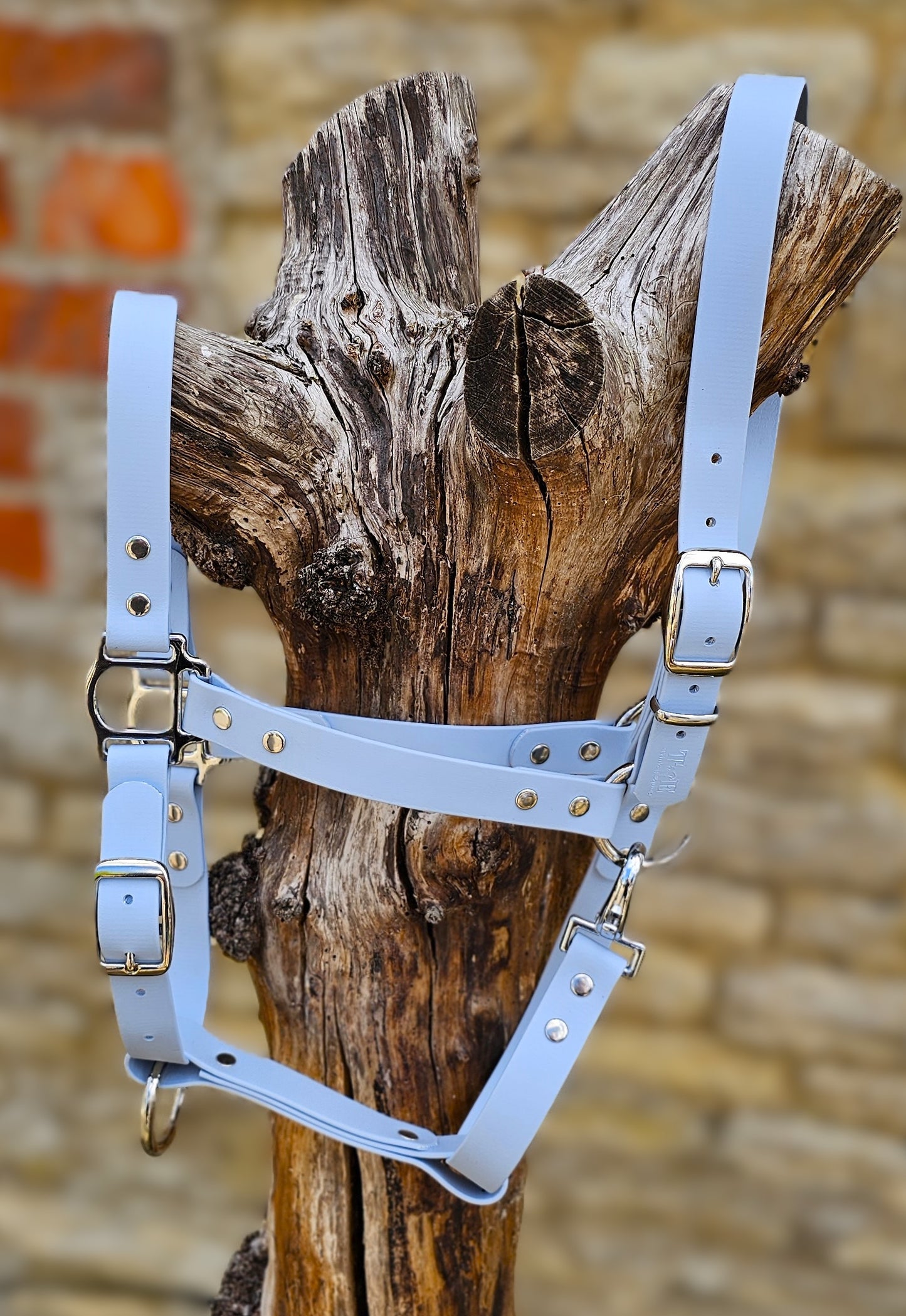 Baby Blue - Waterproof BioThane® Horse Halters / Head Collars