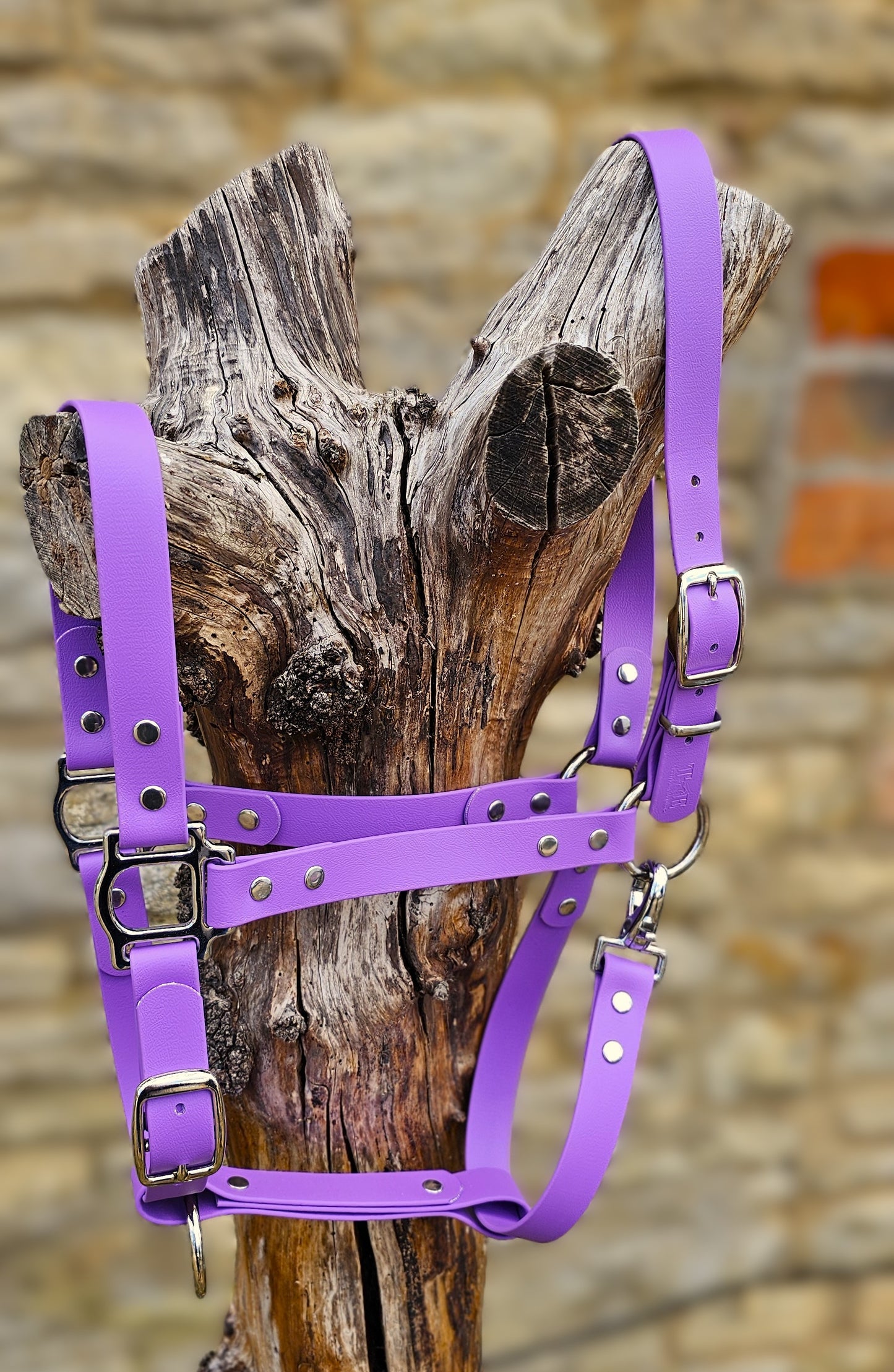 Amethyst - Waterproof BioThane® Horse Halters / Head Collars