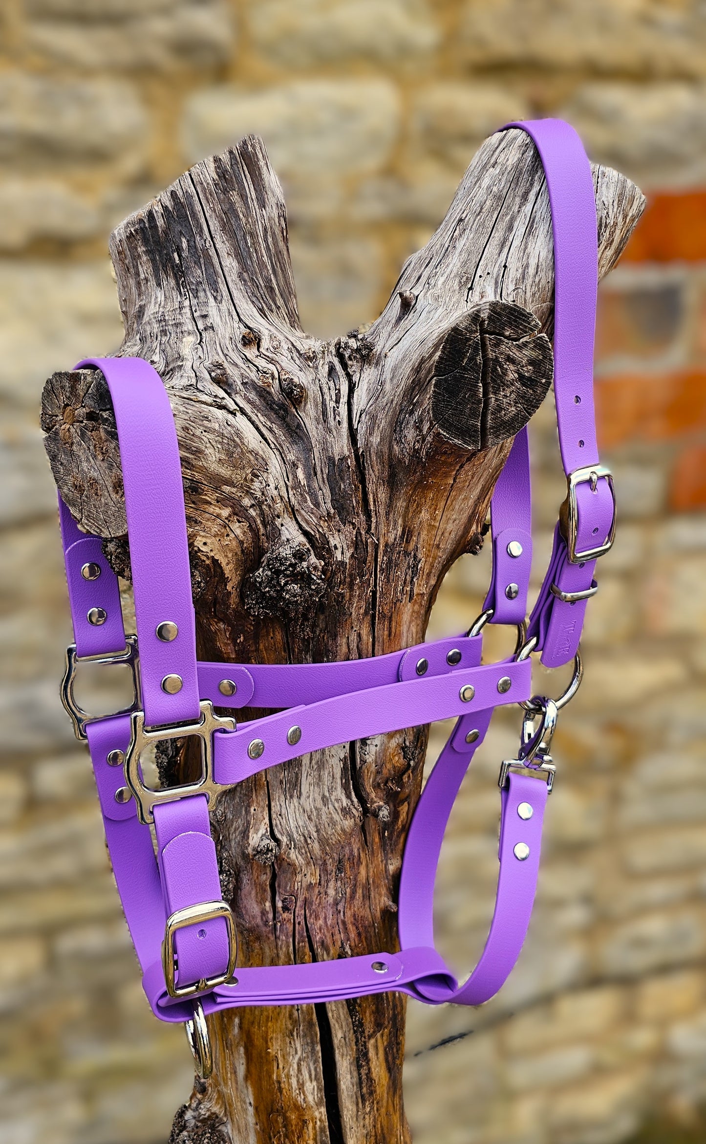 Amethyst - Waterproof BioThane® Horse Halters / Head Collars