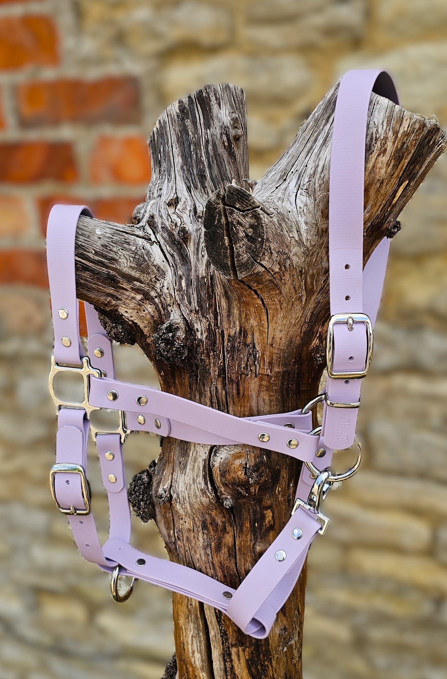 Lilac - Waterproof BioThane® Horse Halters / Head Collars
