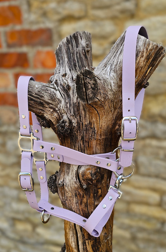 Lilac - Waterproof BioThane® Horse Halters / Head Collars