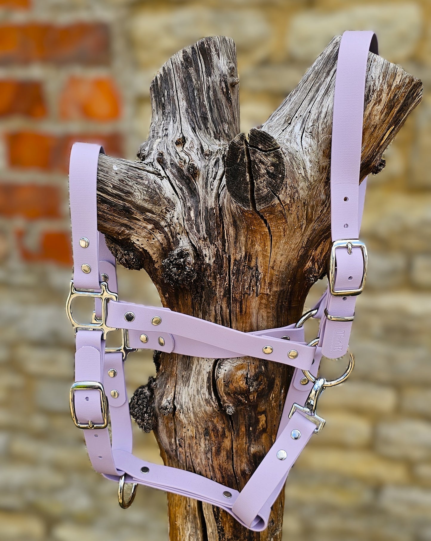Lilac - Waterproof BioThane® Horse Halters / Head Collars