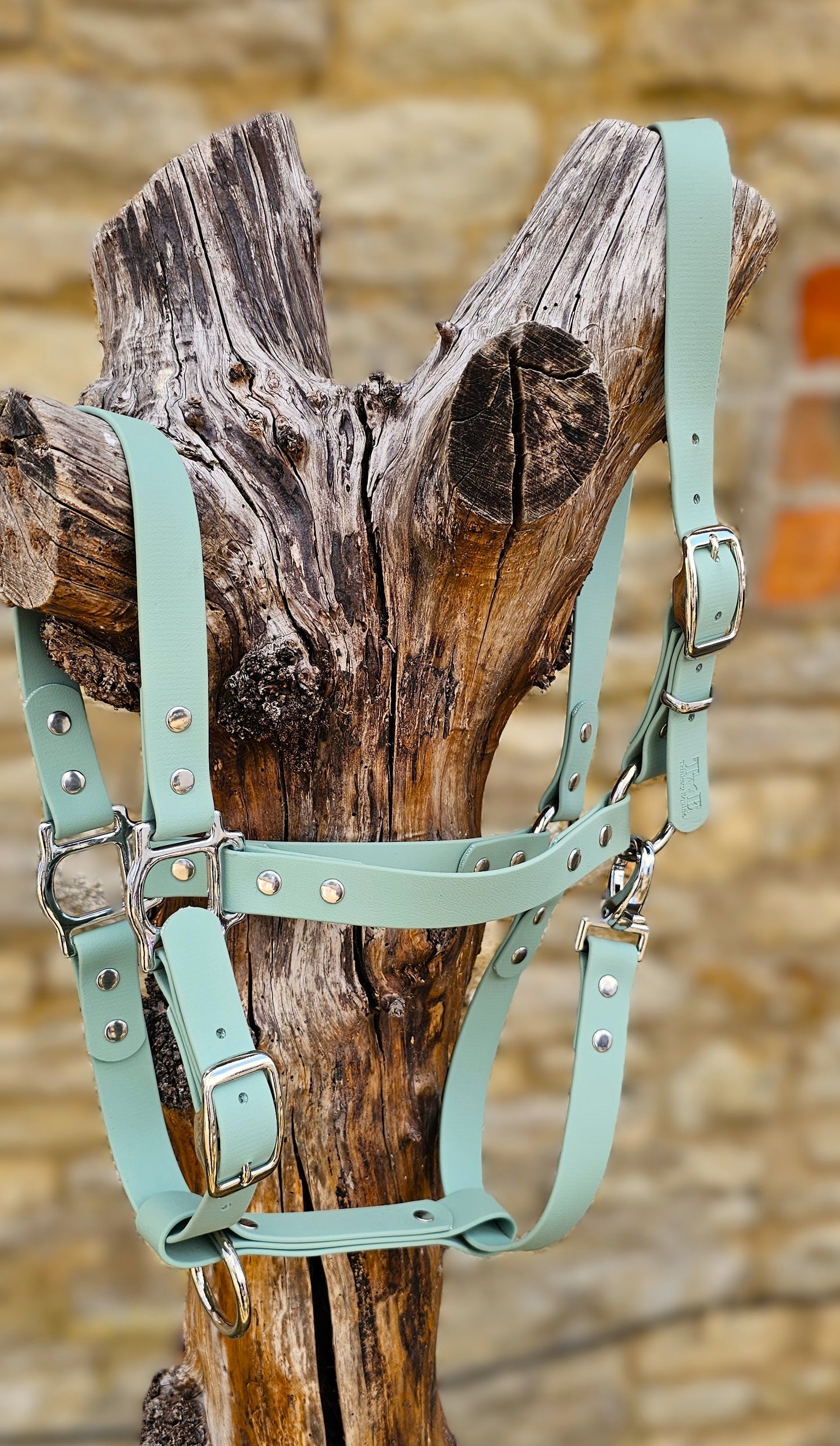 Sage - Waterproof BioThane® Horse Halters / Head Collars