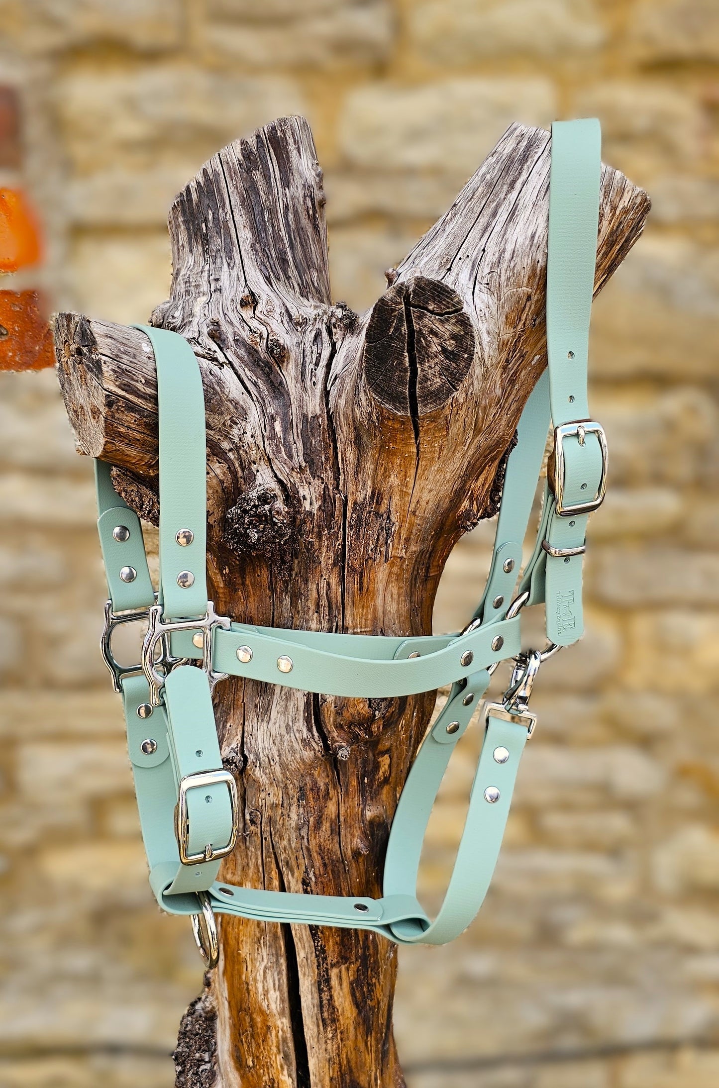Sage - Waterproof BioThane® Horse Halters / Head Collars