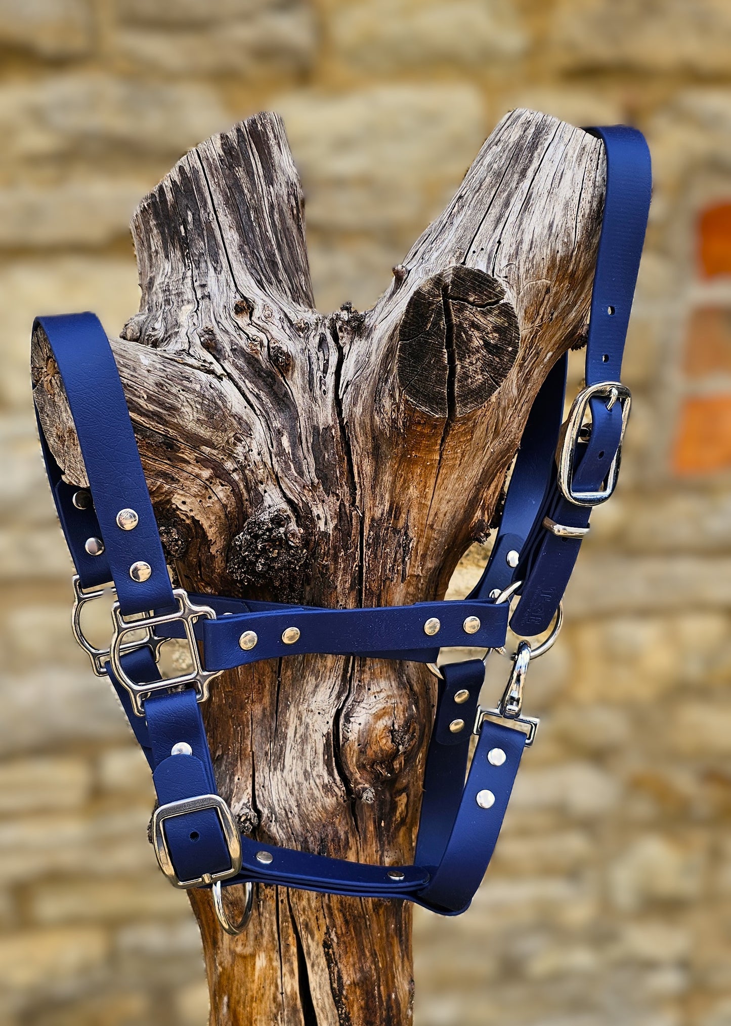 Navy - Waterproof BioThane® Horse Halters / Head Collars