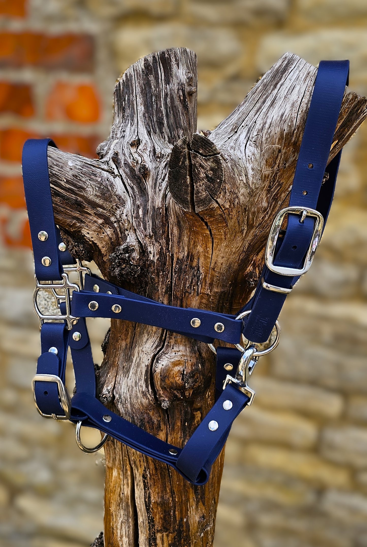 Navy - Waterproof BioThane® Horse Halters / Head Collars