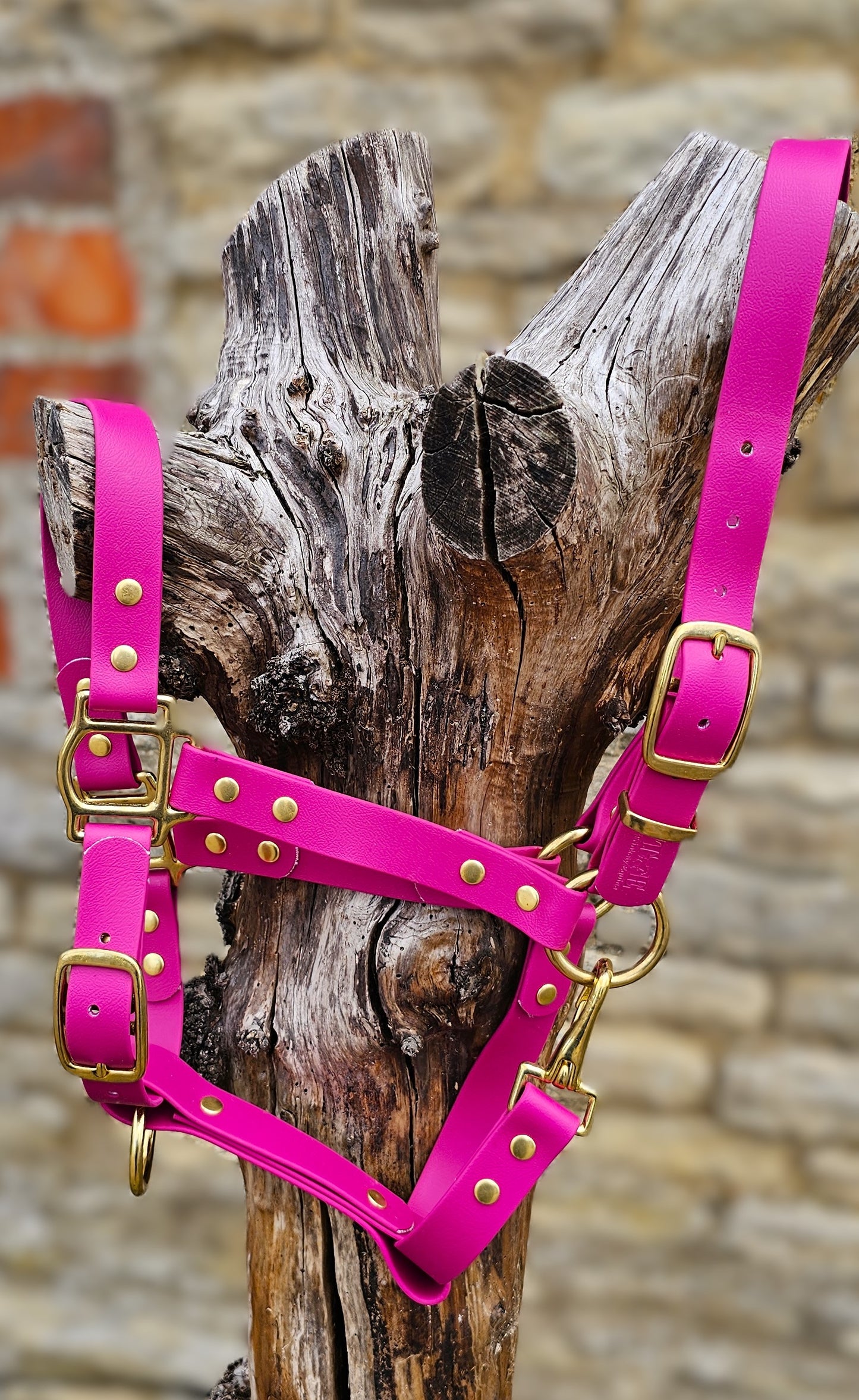 Magenta - Waterproof BioThane® Horse Halters / Head Collars