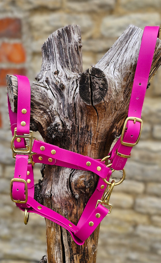 Magenta - Waterproof BioThane® Horse Halters / Head Collars