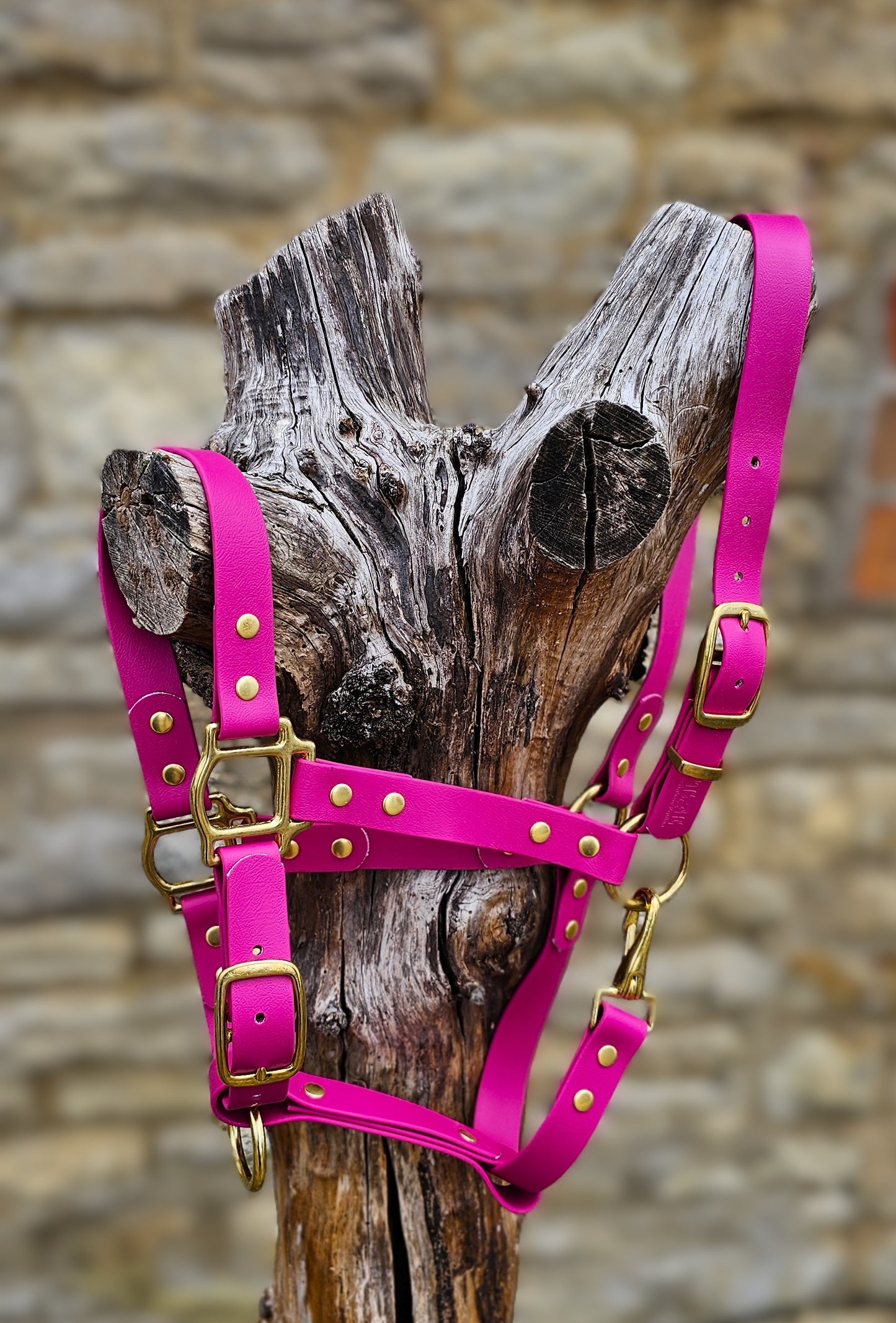 Magenta - Waterproof BioThane® Horse Halters / Head Collars