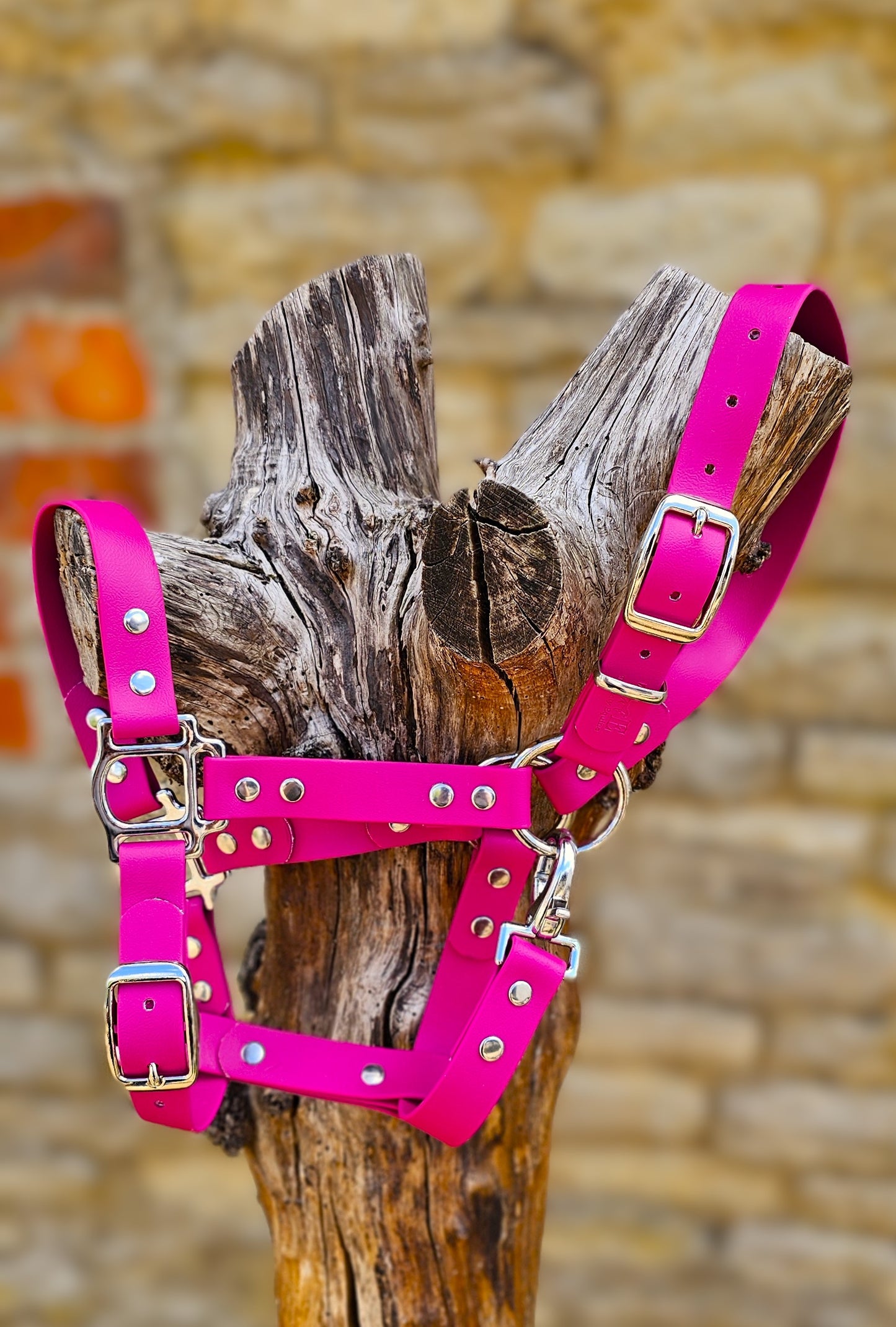 Magenta - Waterproof BioThane® Horse Halters / Head Collars
