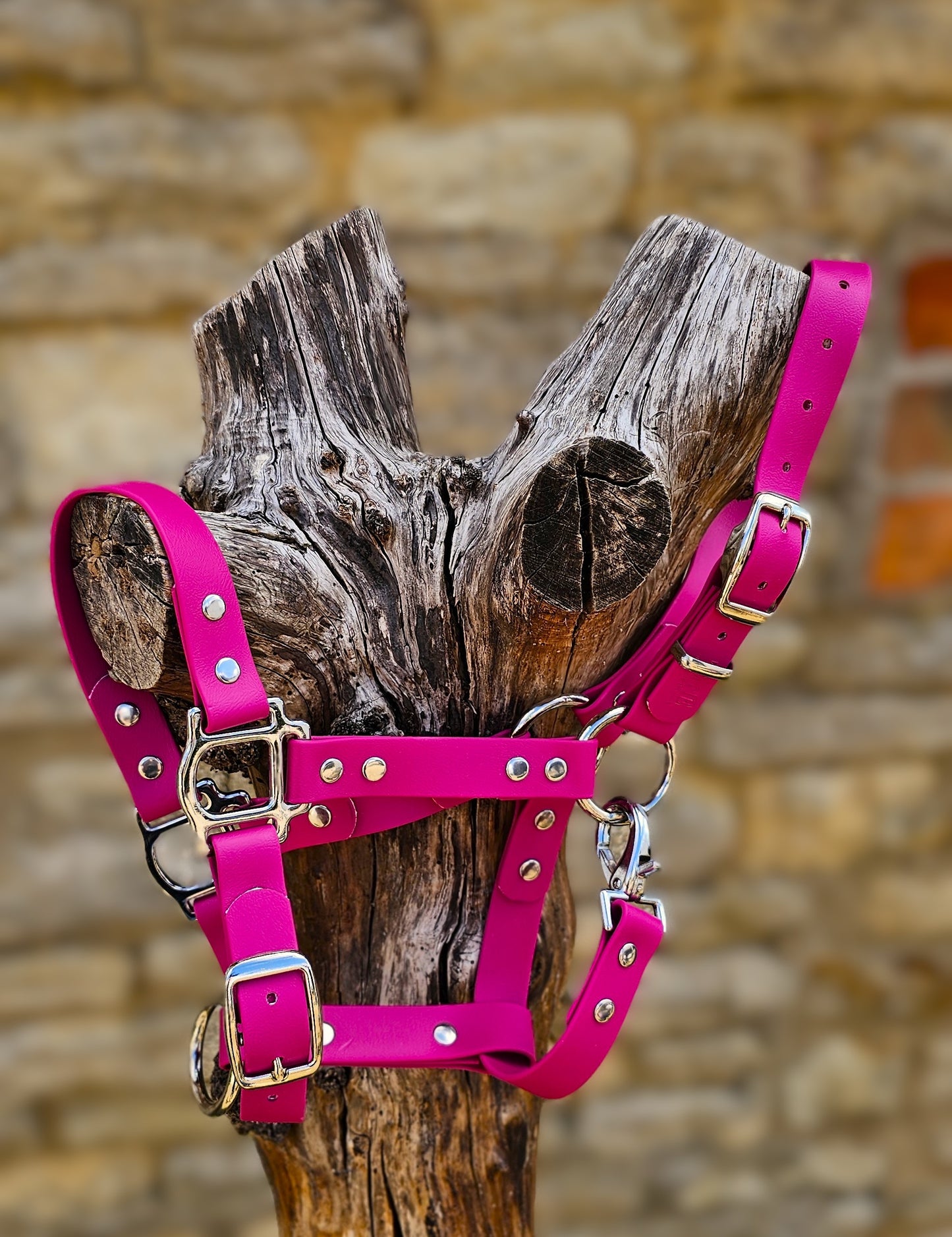Magenta - Waterproof BioThane® Horse Halters / Head Collars