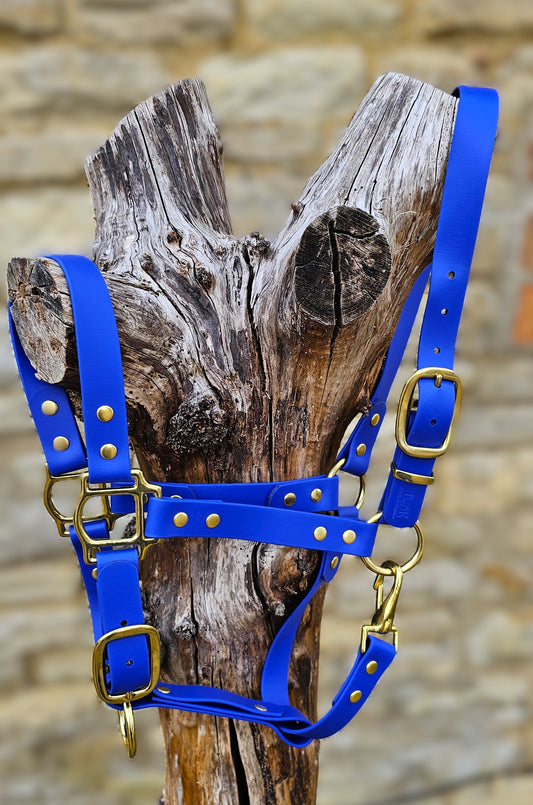 Royal Blue - Waterproof BioThane® Horse Halters / Head Collars