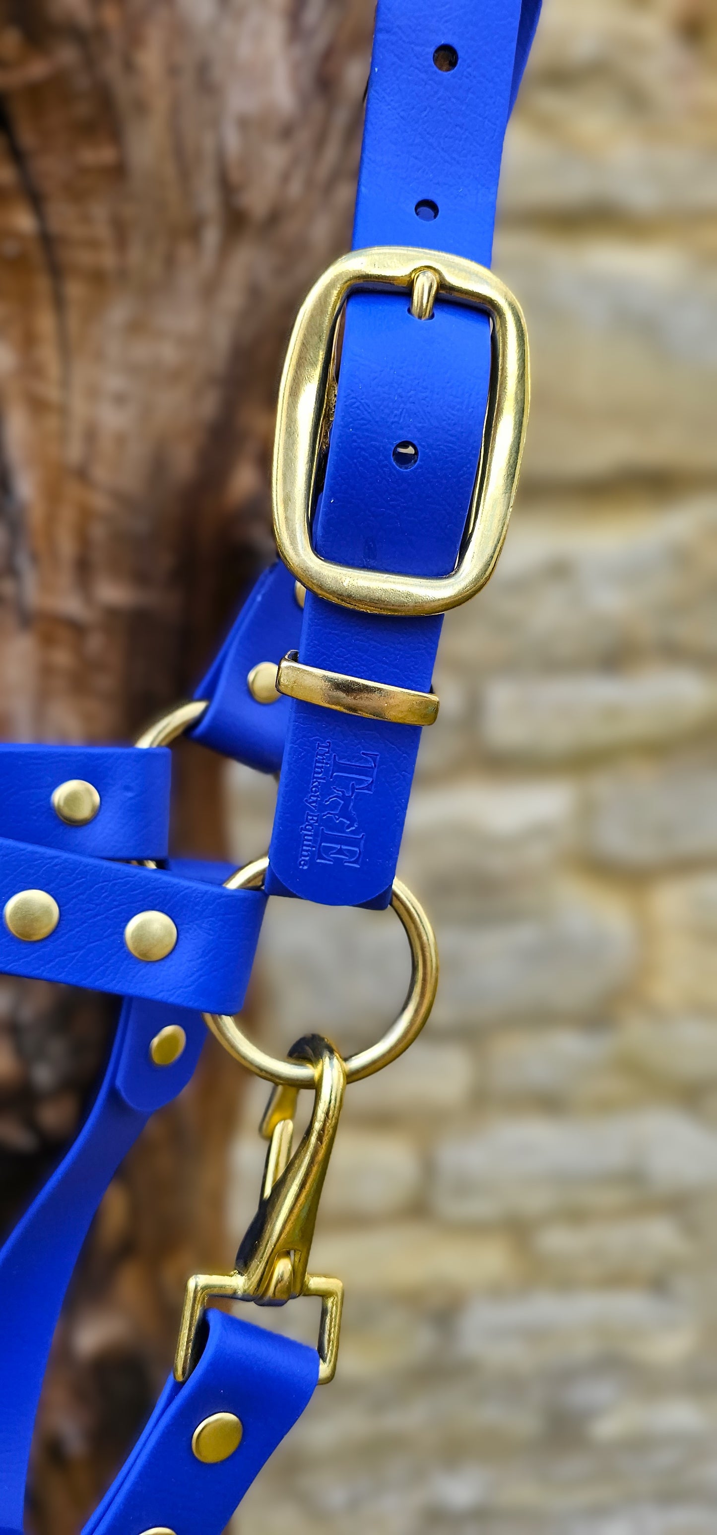 Royal Blue - Waterproof BioThane® Horse Halters / Head Collars