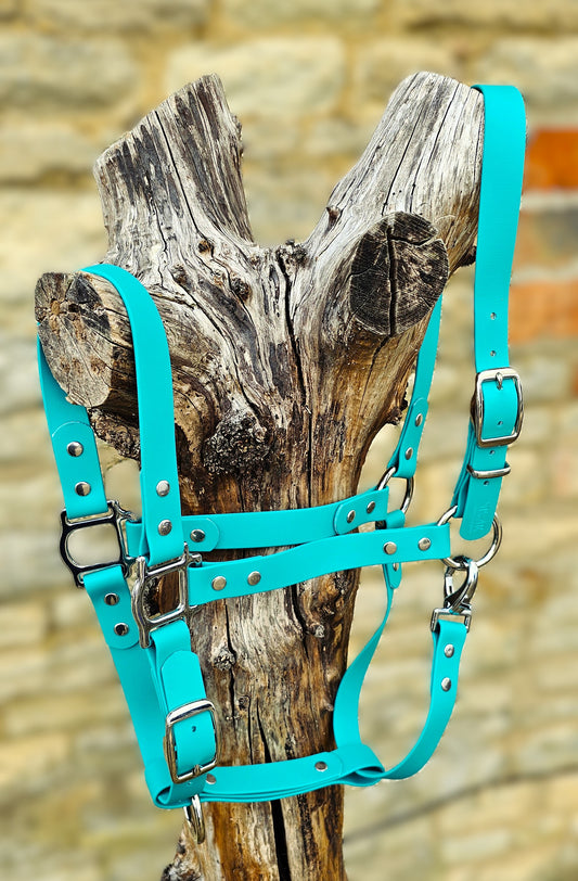 Teal - Waterproof BioThane® Horse Halters / Head Collars
