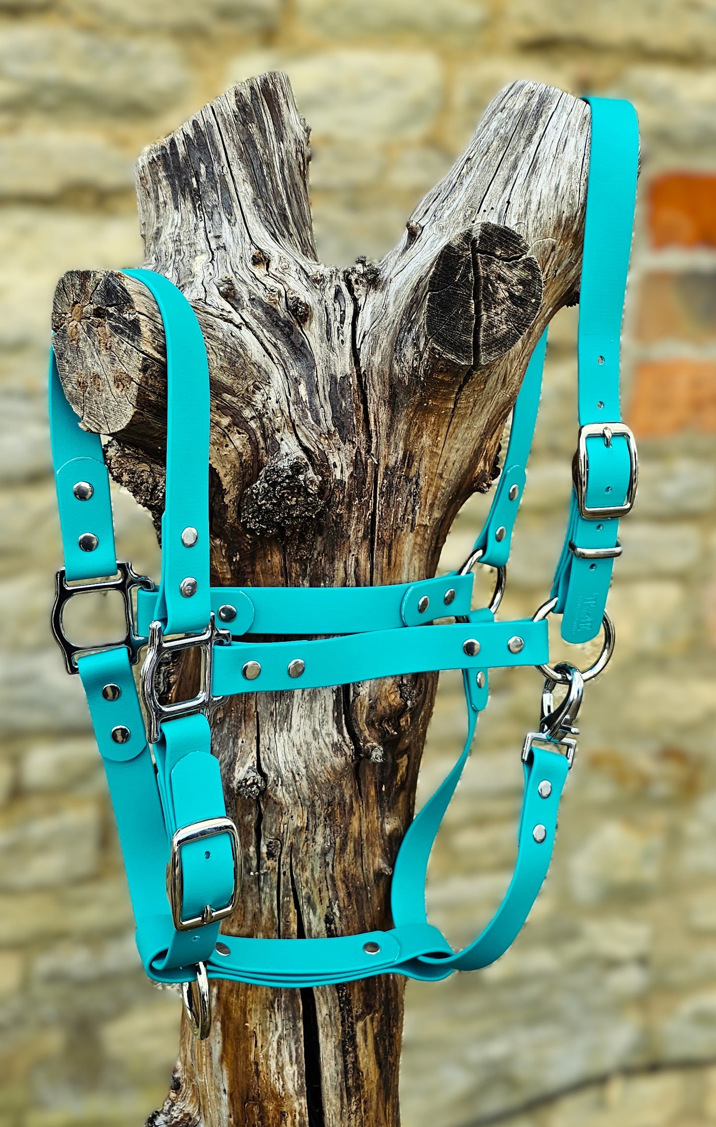 Teal - Waterproof BioThane® Horse Halters / Head Collars