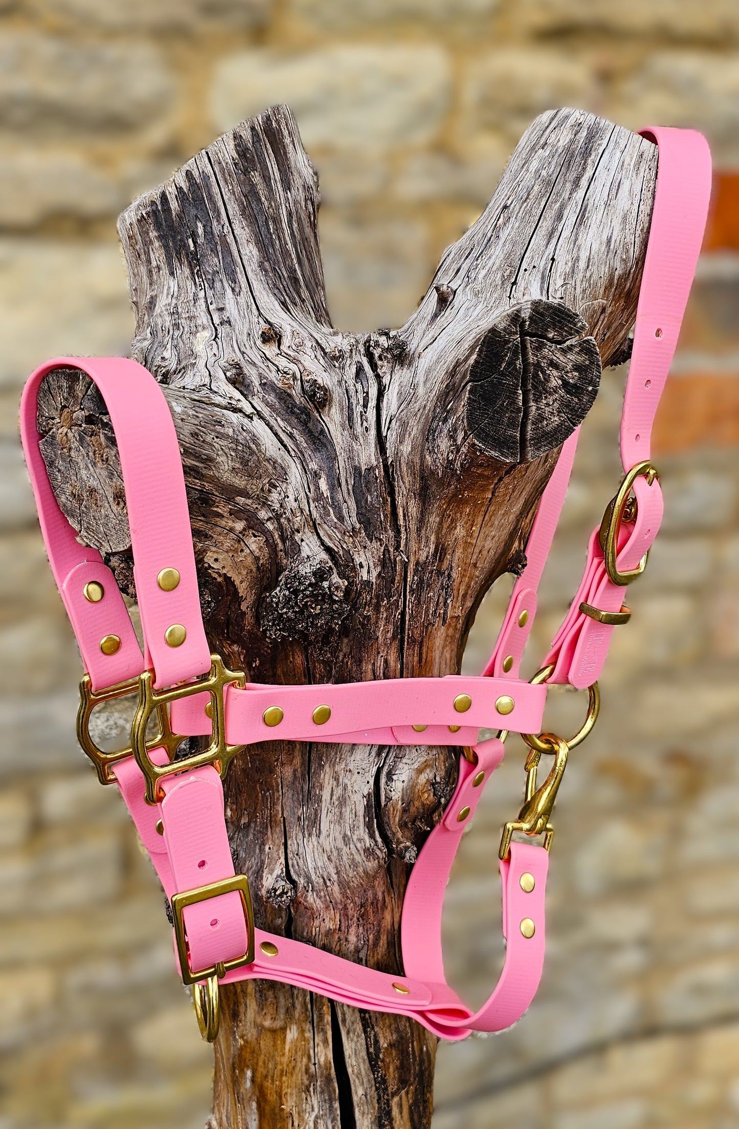 Baby Pink - Waterproof BioThane® Horse Halters / Head Collars
