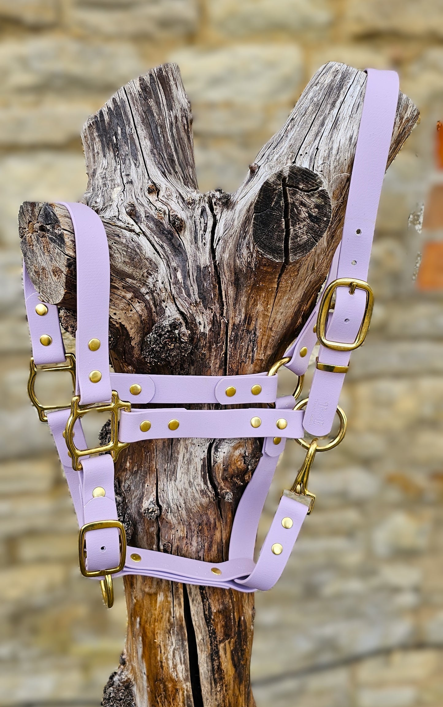 Lilac - Waterproof BioThane® Horse Halters / Head Collars
