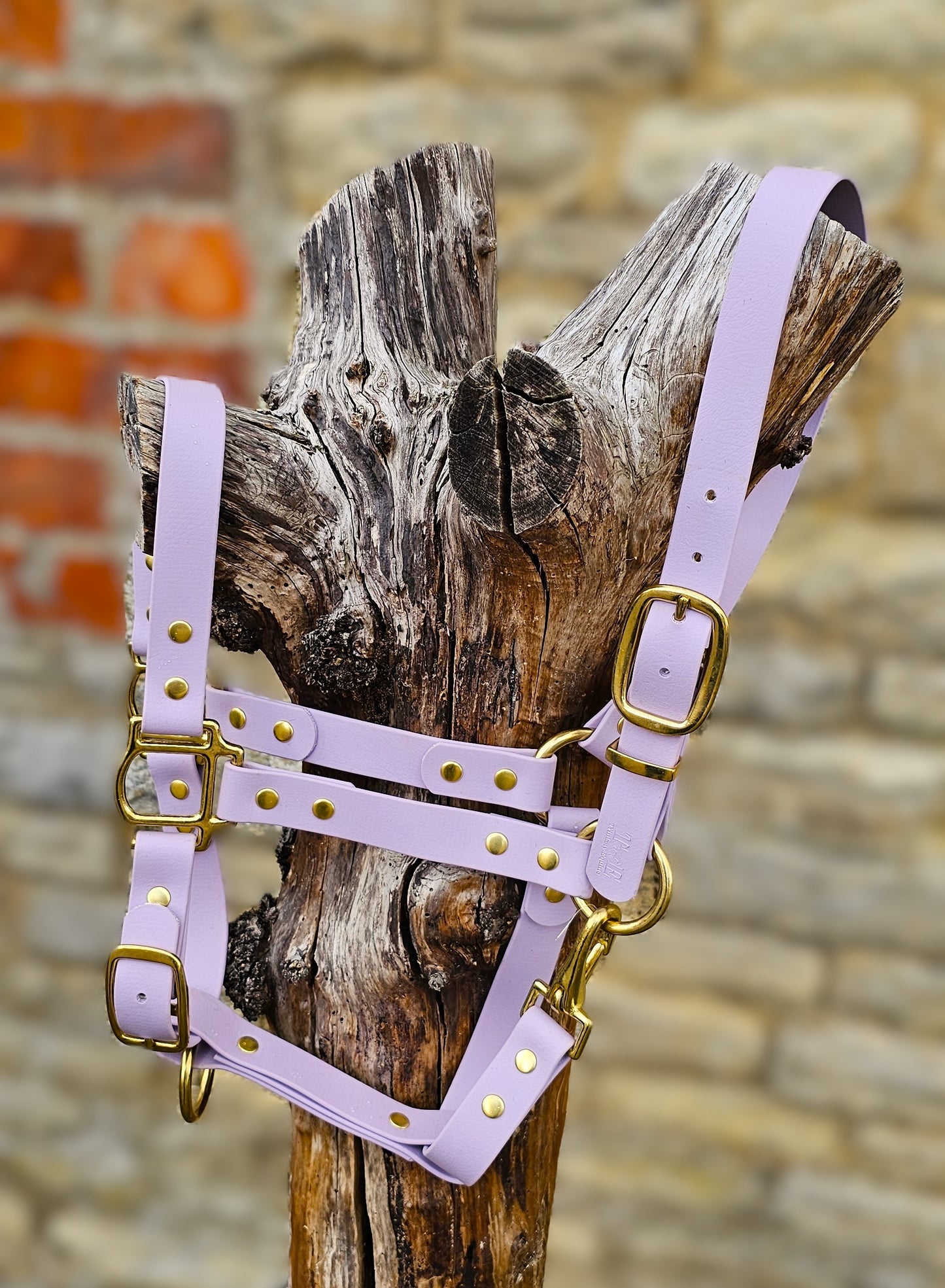 Lilac - Waterproof BioThane® Horse Halters / Head Collars