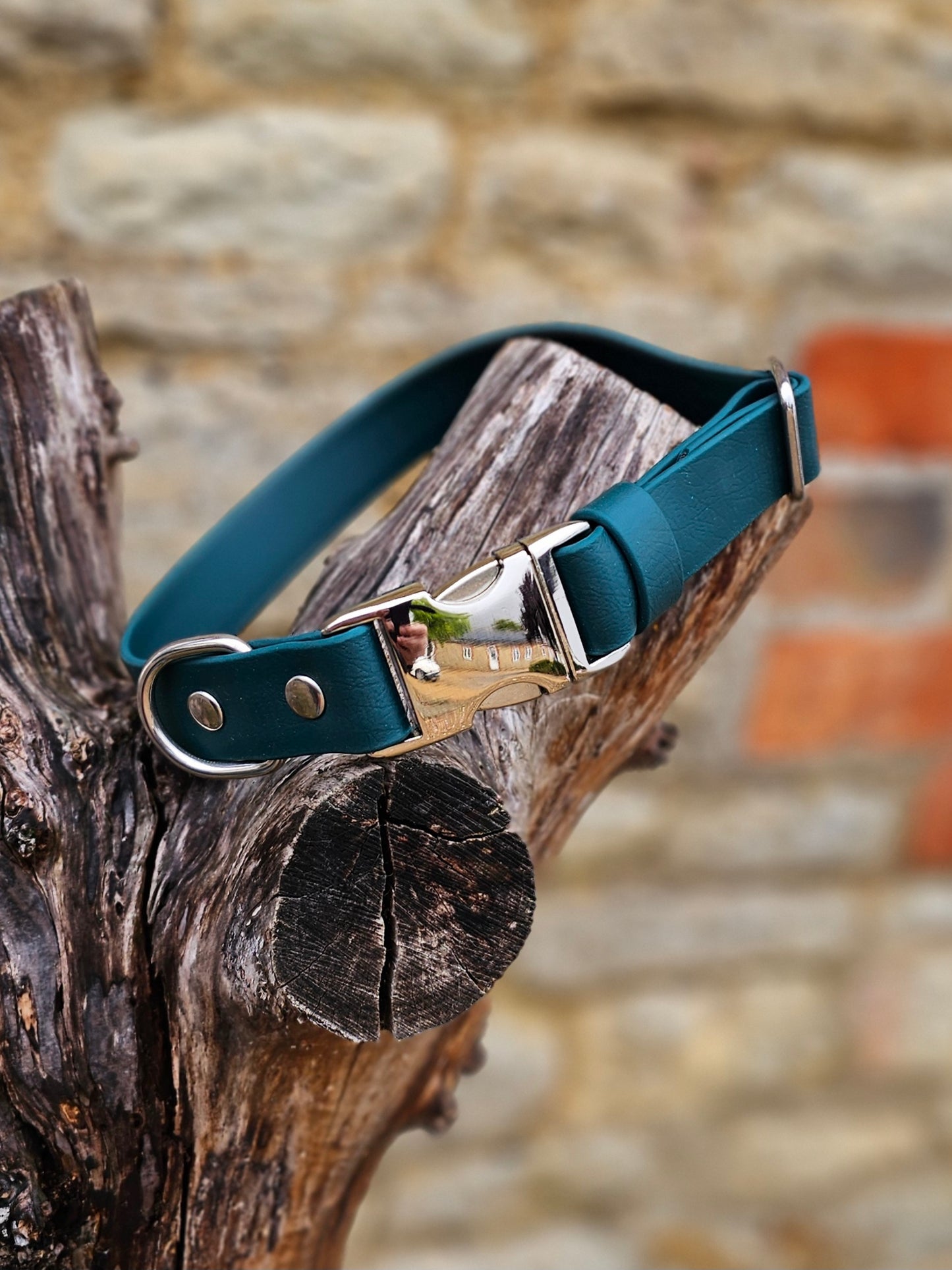 Dark Green Waterproof BioThane® Quick Release Dog Collar