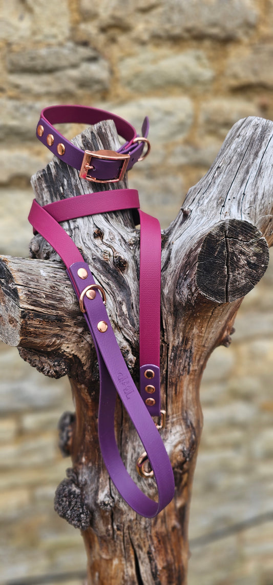Burgundy & Aubergine - Waterproof Biothane® two-coloured Dog Lead