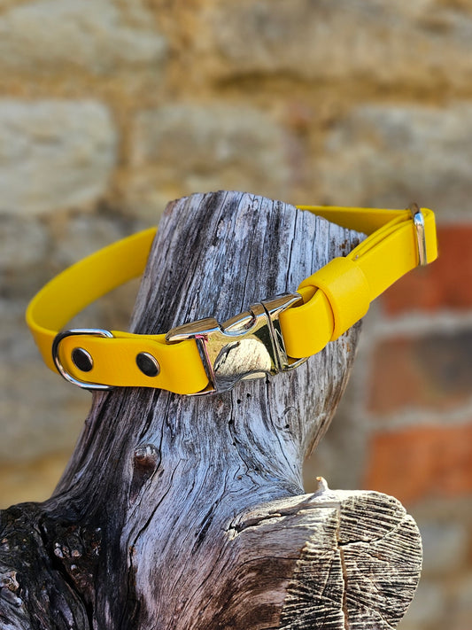 Yellow Waterproof BioThane® Quick Release Dog Collar
